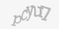 Защитный код