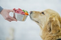 натуральные корма для собак